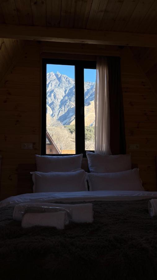 Twin Cottages Kazbegi Kültér fotó