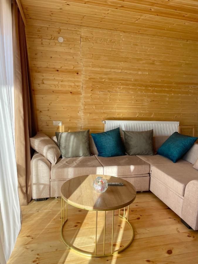 Twin Cottages Kazbegi Kültér fotó